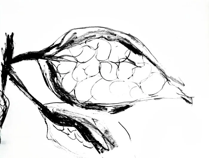L'encre et le geste